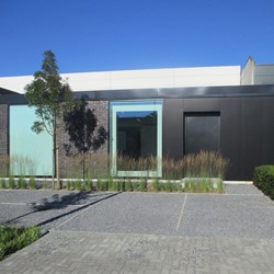 bedrijfstuin-Duffel-modern-boom-grassen